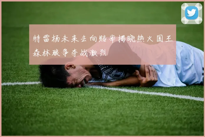 特雷杨未来去向赔率揭晓热火国王森林狼争夺战激烈