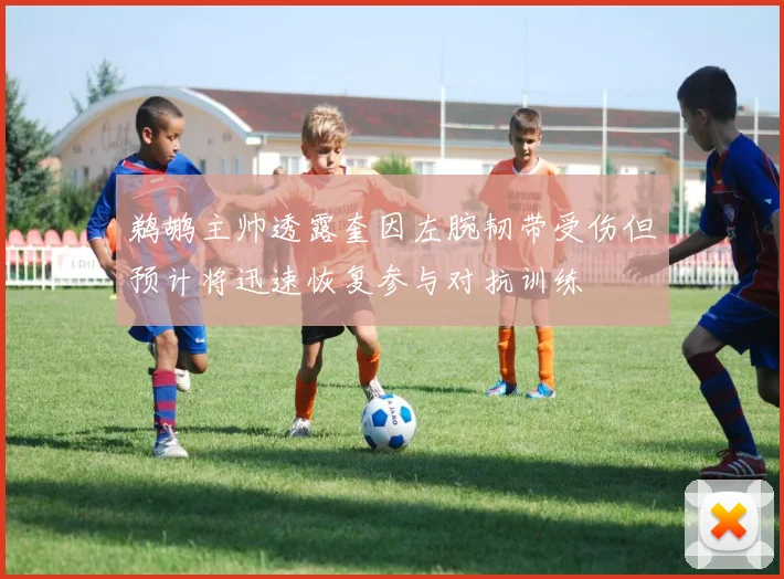 鹈鹕主帅透露奎因左腕韧带受伤但预计将迅速恢复参与对抗训练