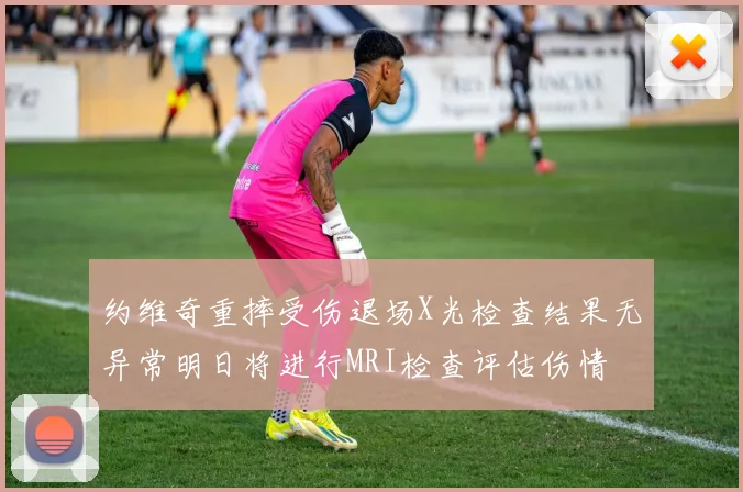 约维奇重摔受伤退场X光检查结果无异常明日将进行MRI检查评估伤情